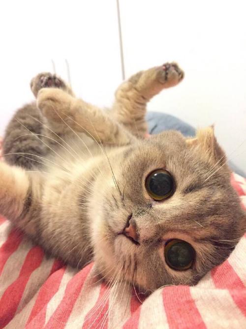 ÍÑÆ¶¹¥¼á|ɽ¶«Ò׵طöƶ°áǨƶÀ§ÈË¿ÚÈ«²¿Îȶ¨ÍÑÆ¶